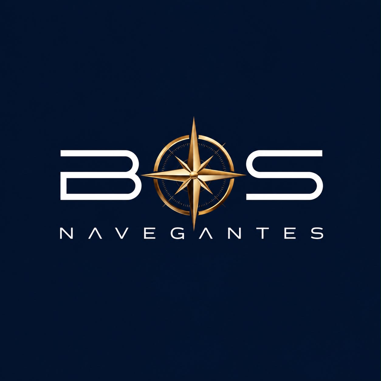 Identidade visual BS Navegantes — Bússola do Sucesso